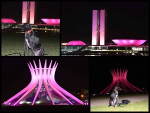 Cancer Buildings Collage