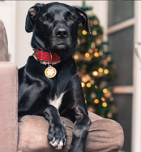 Fourteen Years of Life, Love, and Lessons